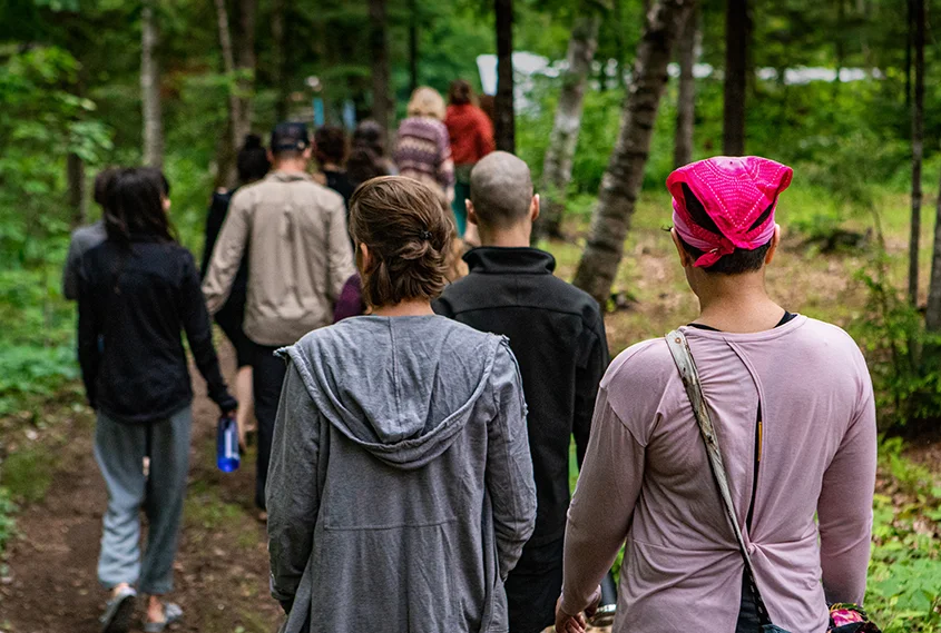 Group of people on bush walk together