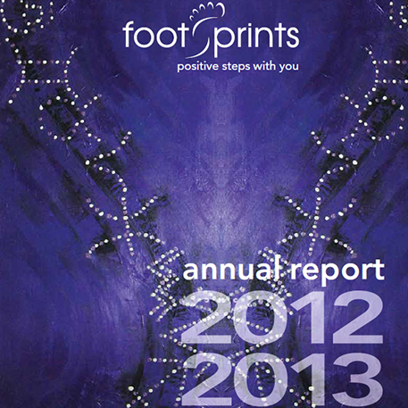 2013 annual report cover